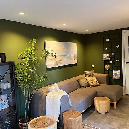 It Buthus Apartment Baaiduinen Exterior photo